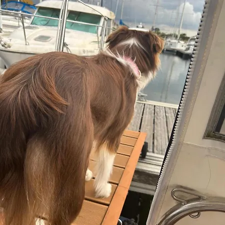 Le Duplex Des Marinas, Dog Friendly & Parking Inclus Botel