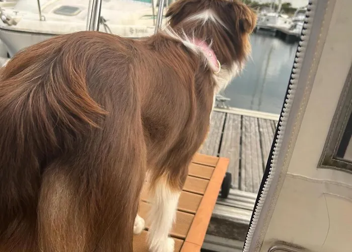 Le Duplex Des Marinas, Dog Friendly & Parking Inclus ספינת מלון